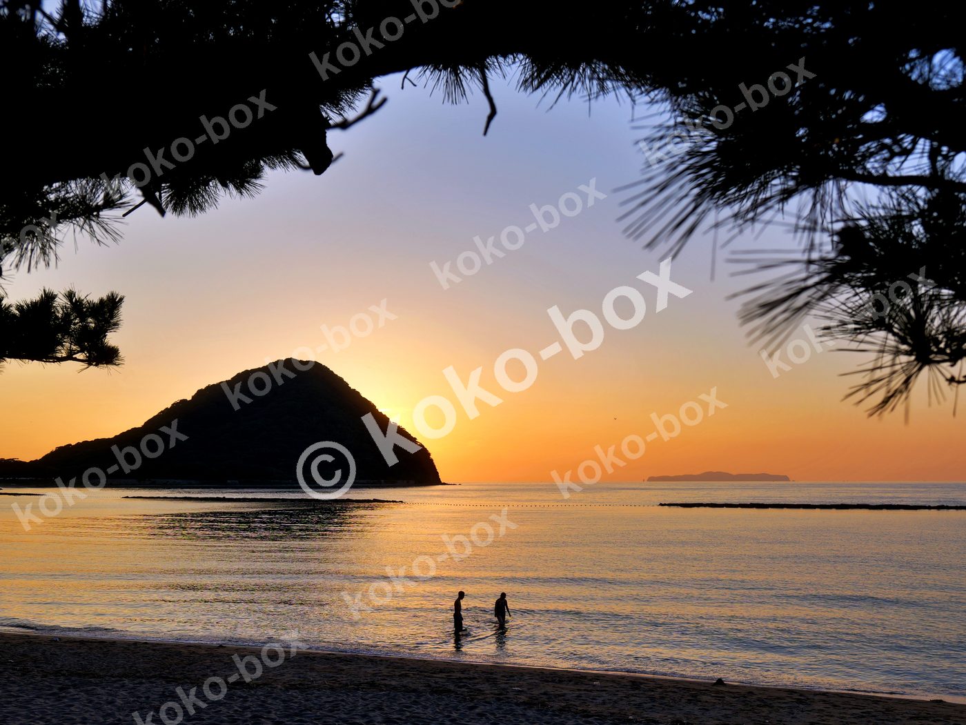 夕暮れの海辺と松のシルエット 横位置写真