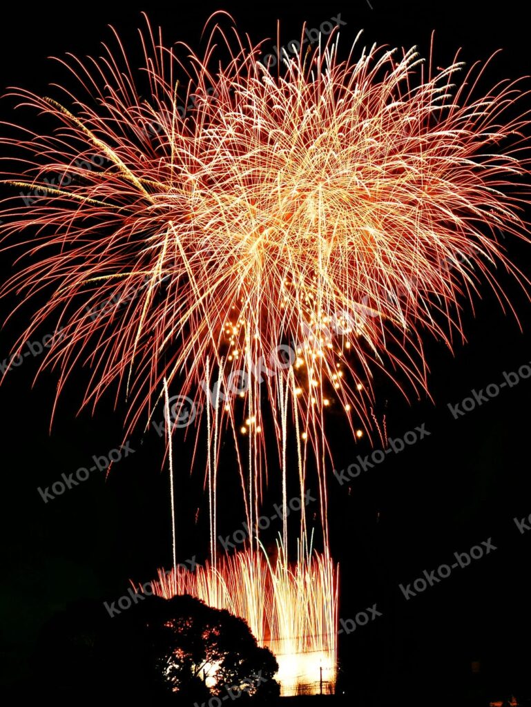 夜空に咲く大輪の花火 縦位置写真