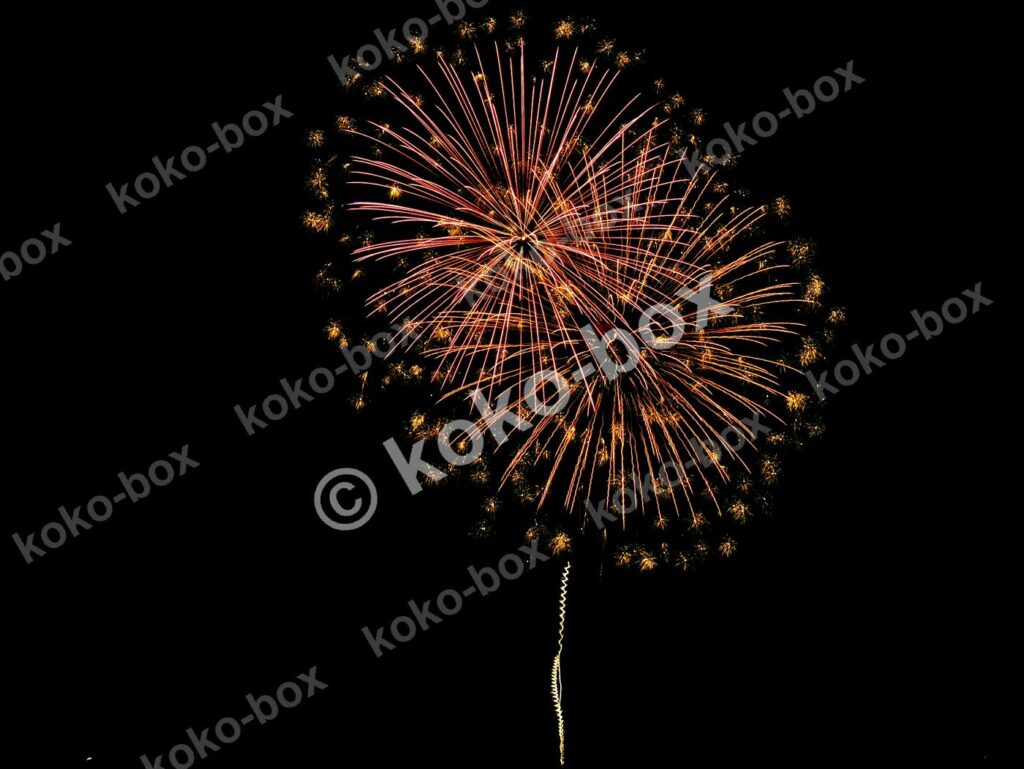 夜空に打ち上がる黄金色とピンクの大輪の花火 横位置