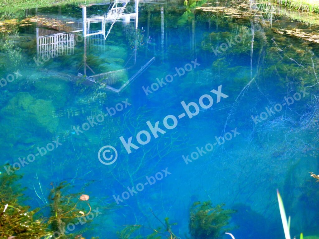 神秘的なブルーの水中世界と枯れ木の横位置写真