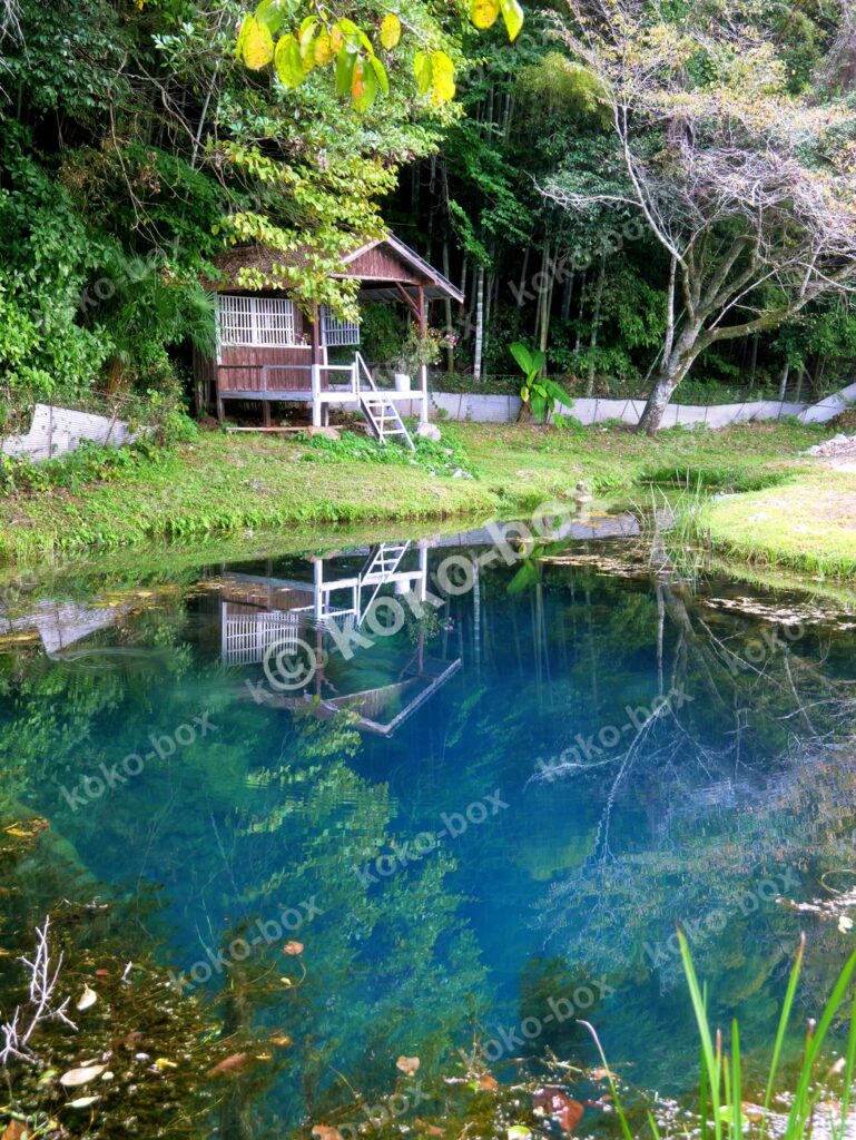 森の中にある神秘的な蒼い池と木小屋の縦位置写真